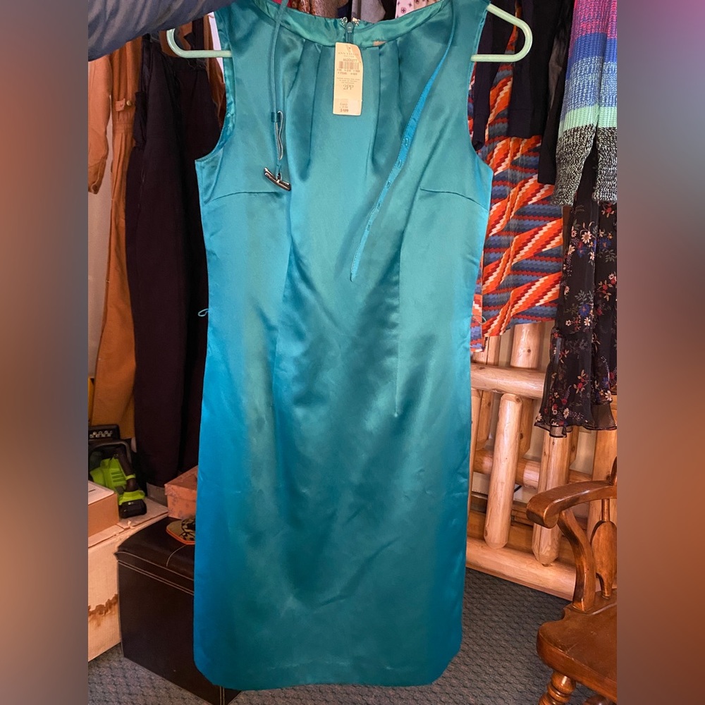 NWT Ann Taylor Petites Sleeveless Dress with Belt